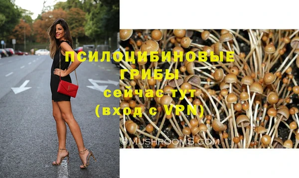 гидра Новодвинск