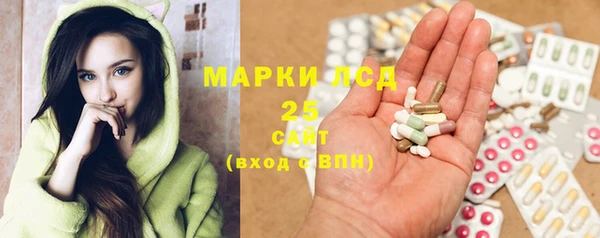 гашик Новозыбков