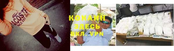 гидра Новодвинск