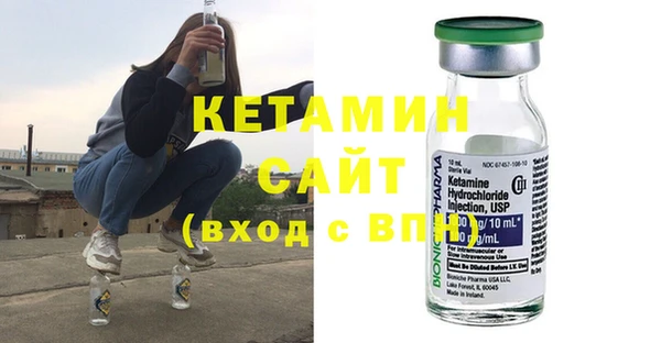 гидра Новодвинск