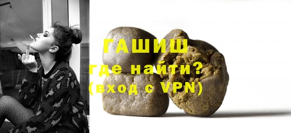 гидра Новодвинск