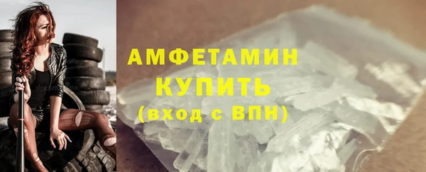 гашик Новозыбков