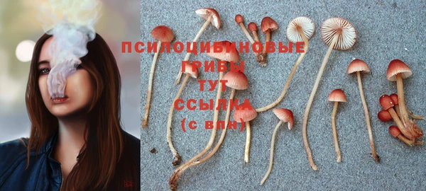 дистиллят марихуана Новокубанск