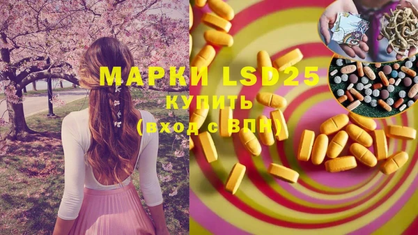 гашик Новозыбков