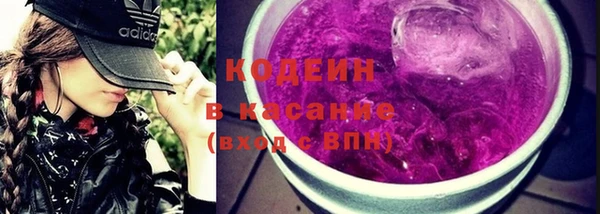 гашик Новозыбков