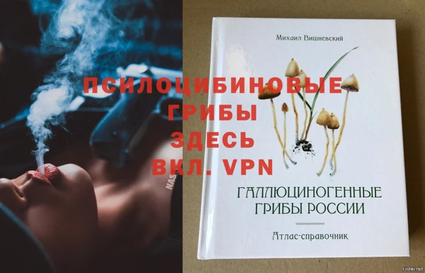 гидра Новодвинск