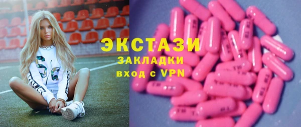 гашик Новозыбков