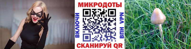 Псилоцибиновые грибы Cubensis  продажа наркотиков  Зеленодольск 