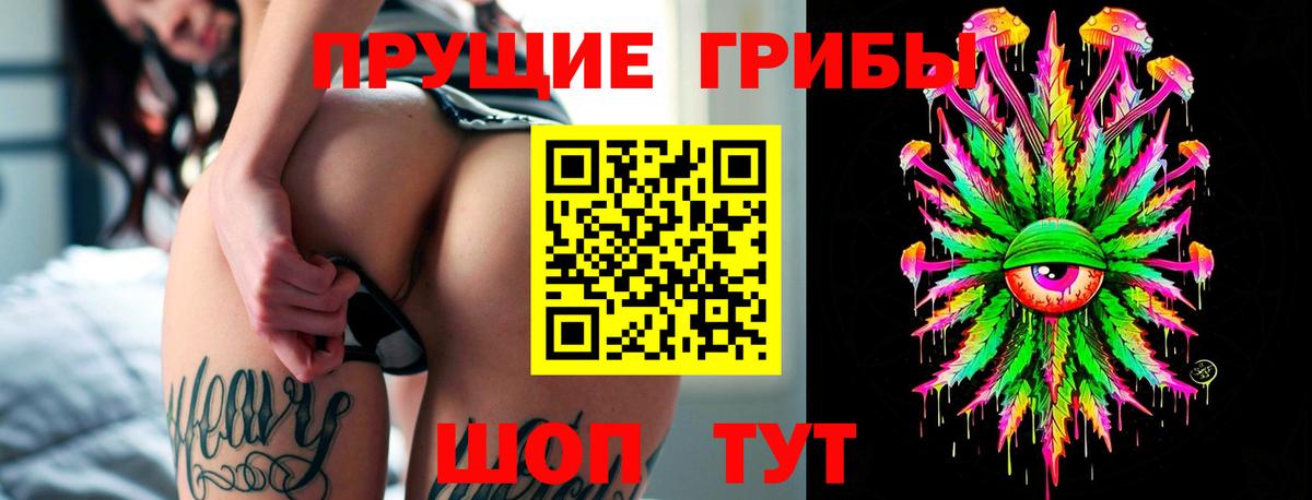 Галлюциногенные грибы Cubensis  где продают наркотики  Зеленодольск  Вход с VPN 