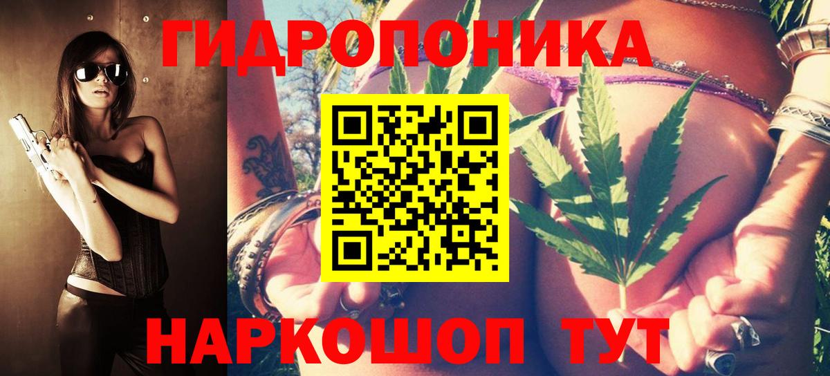 МАРИХУАНА White Widow  Зеленодольск  Шишки марихуана план  МАРИХУАНА SATIVA & INDICA 